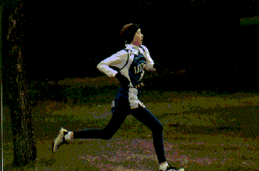 Bitmap Image
